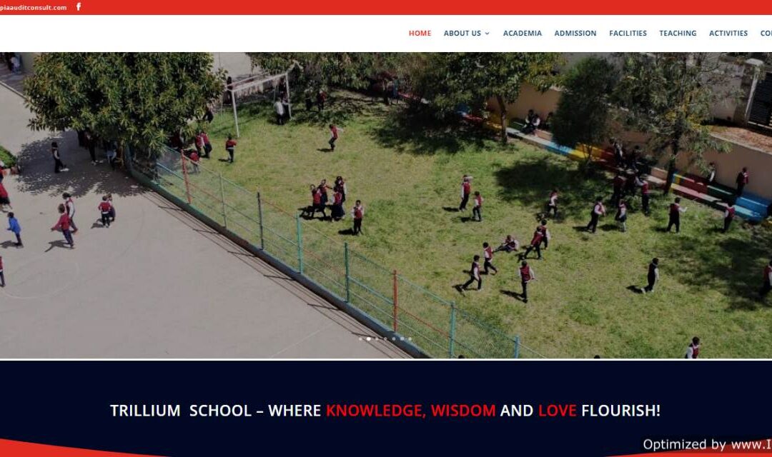 Trillium Int. School has launched our new website